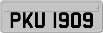 PKU1909