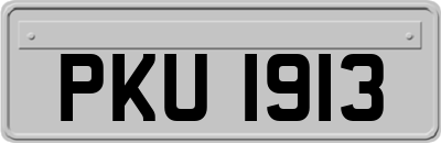 PKU1913