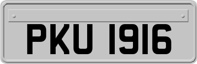PKU1916
