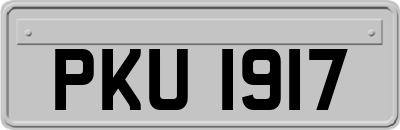 PKU1917