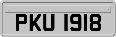 PKU1918