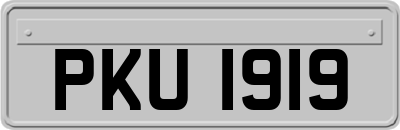 PKU1919