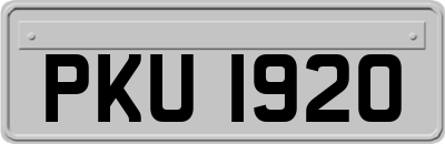 PKU1920