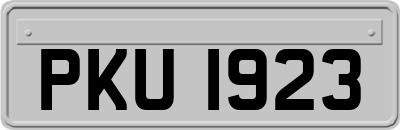 PKU1923