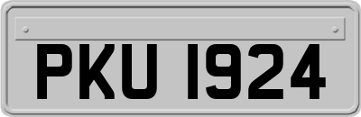PKU1924