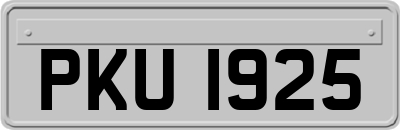 PKU1925