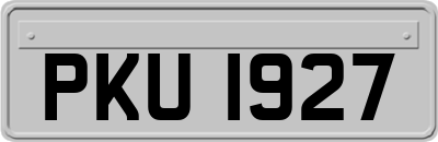PKU1927