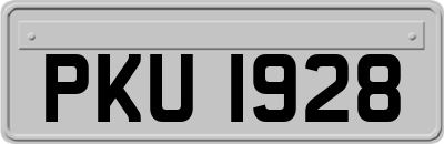 PKU1928