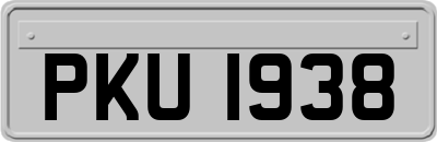 PKU1938