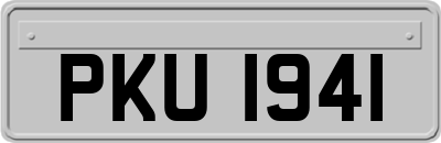 PKU1941