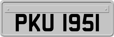 PKU1951