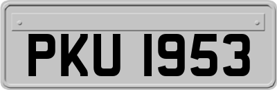 PKU1953