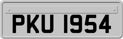 PKU1954