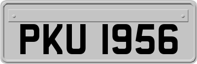 PKU1956