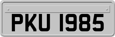 PKU1985
