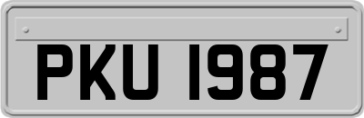 PKU1987