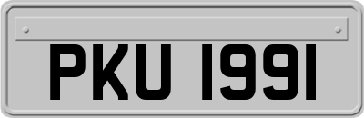 PKU1991