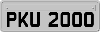 PKU2000