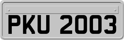PKU2003