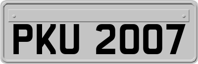 PKU2007
