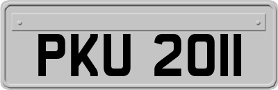 PKU2011