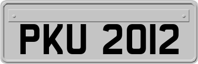 PKU2012