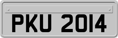 PKU2014