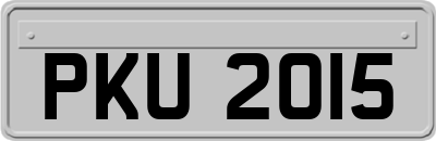 PKU2015