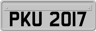 PKU2017