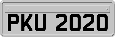 PKU2020