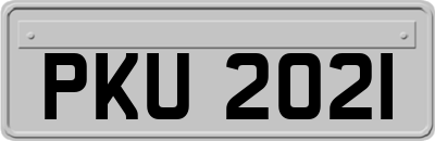 PKU2021