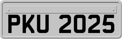 PKU2025
