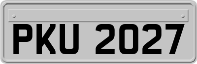 PKU2027