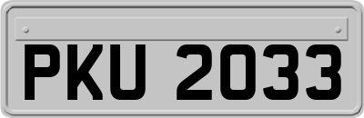 PKU2033