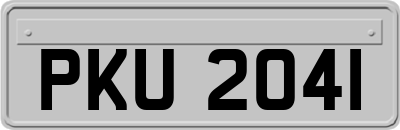 PKU2041