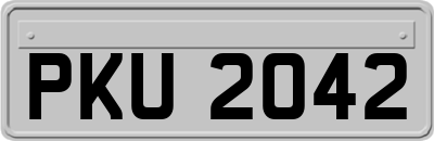 PKU2042