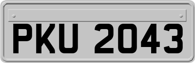 PKU2043