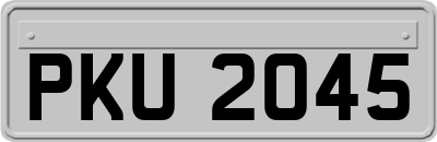 PKU2045