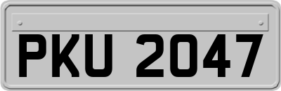 PKU2047
