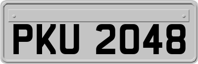 PKU2048