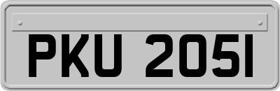 PKU2051