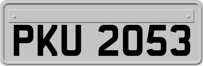 PKU2053