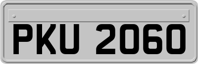 PKU2060