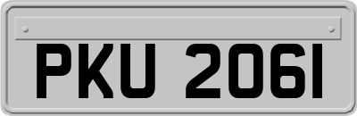PKU2061