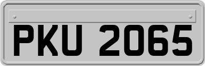 PKU2065
