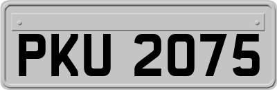 PKU2075