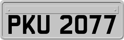 PKU2077
