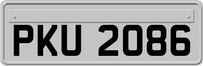PKU2086