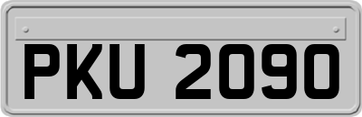 PKU2090