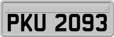 PKU2093
